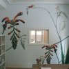 Натяжные потолки Descor